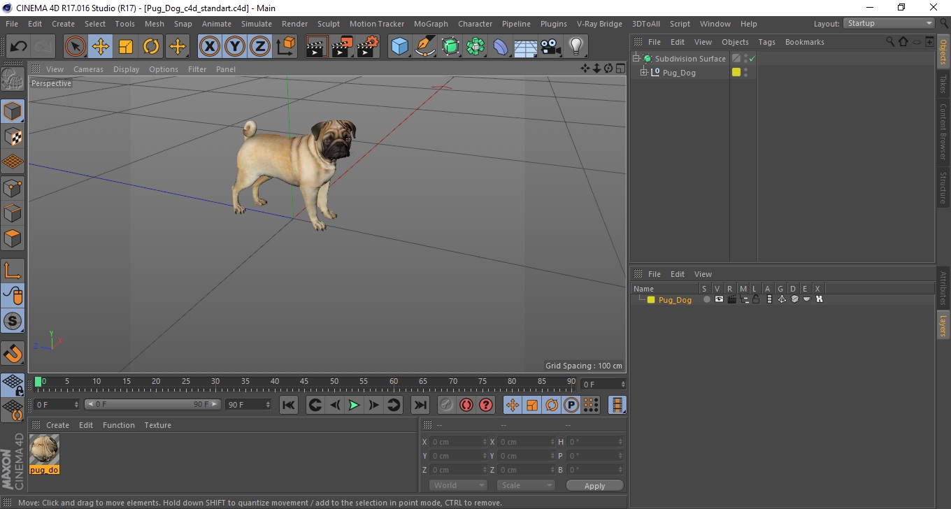Pug Dog 3D model
