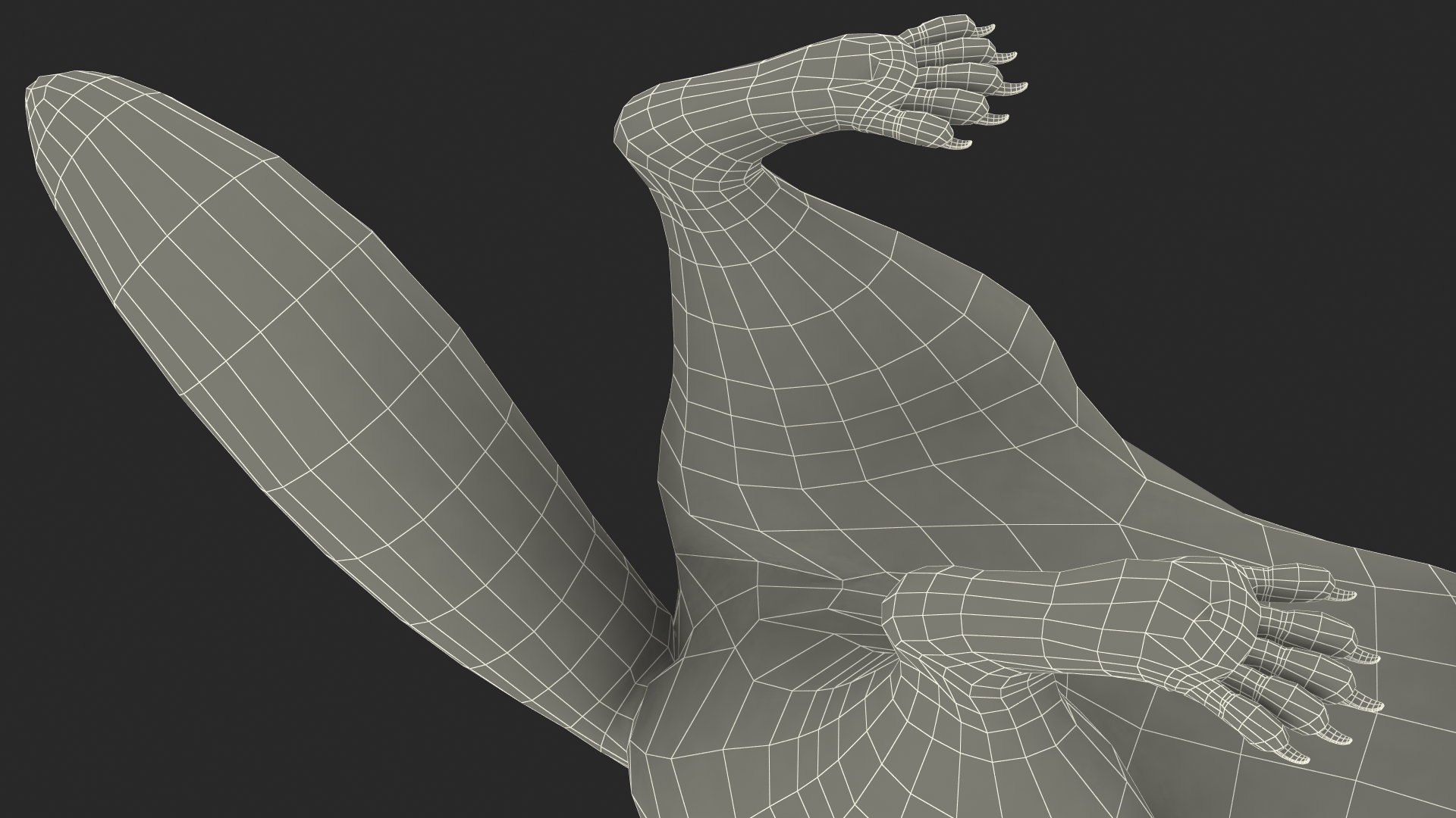 3D model Raccoon Walking Pose