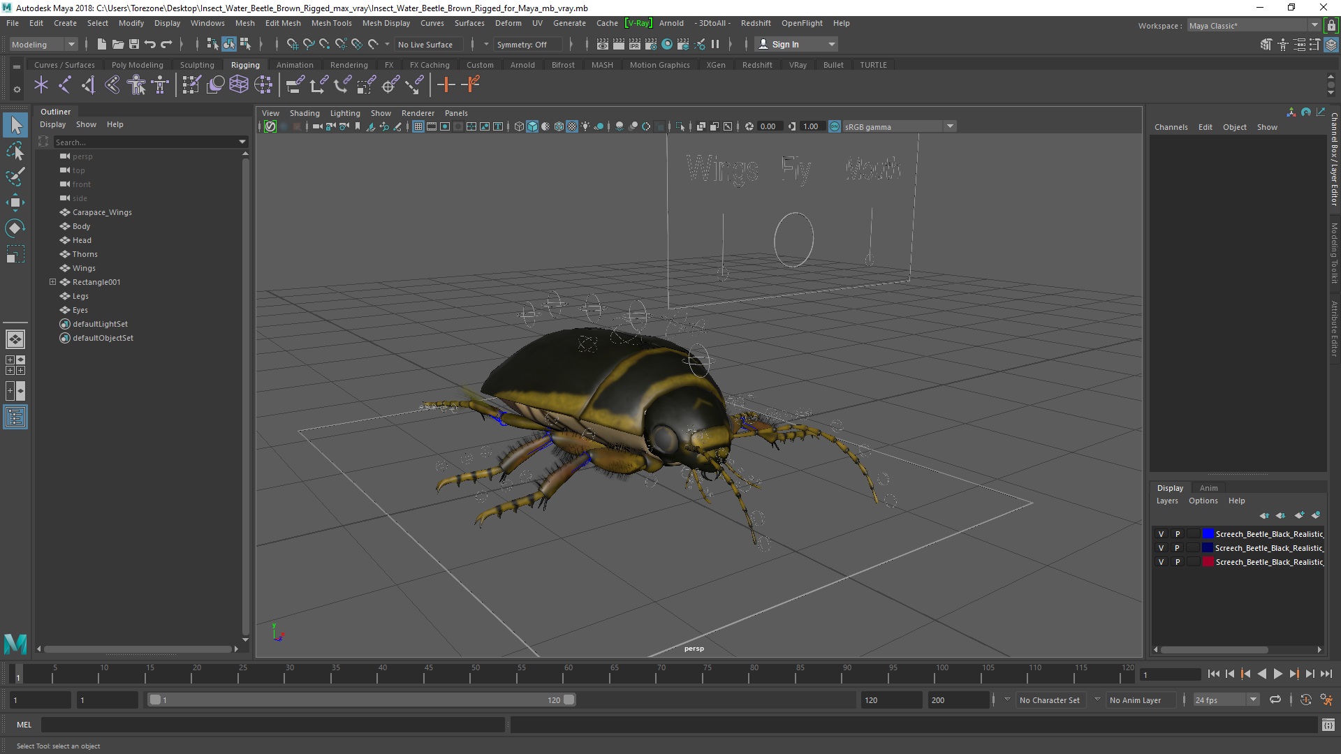 3D Insect Water Beetle Brown Rigged for Maya