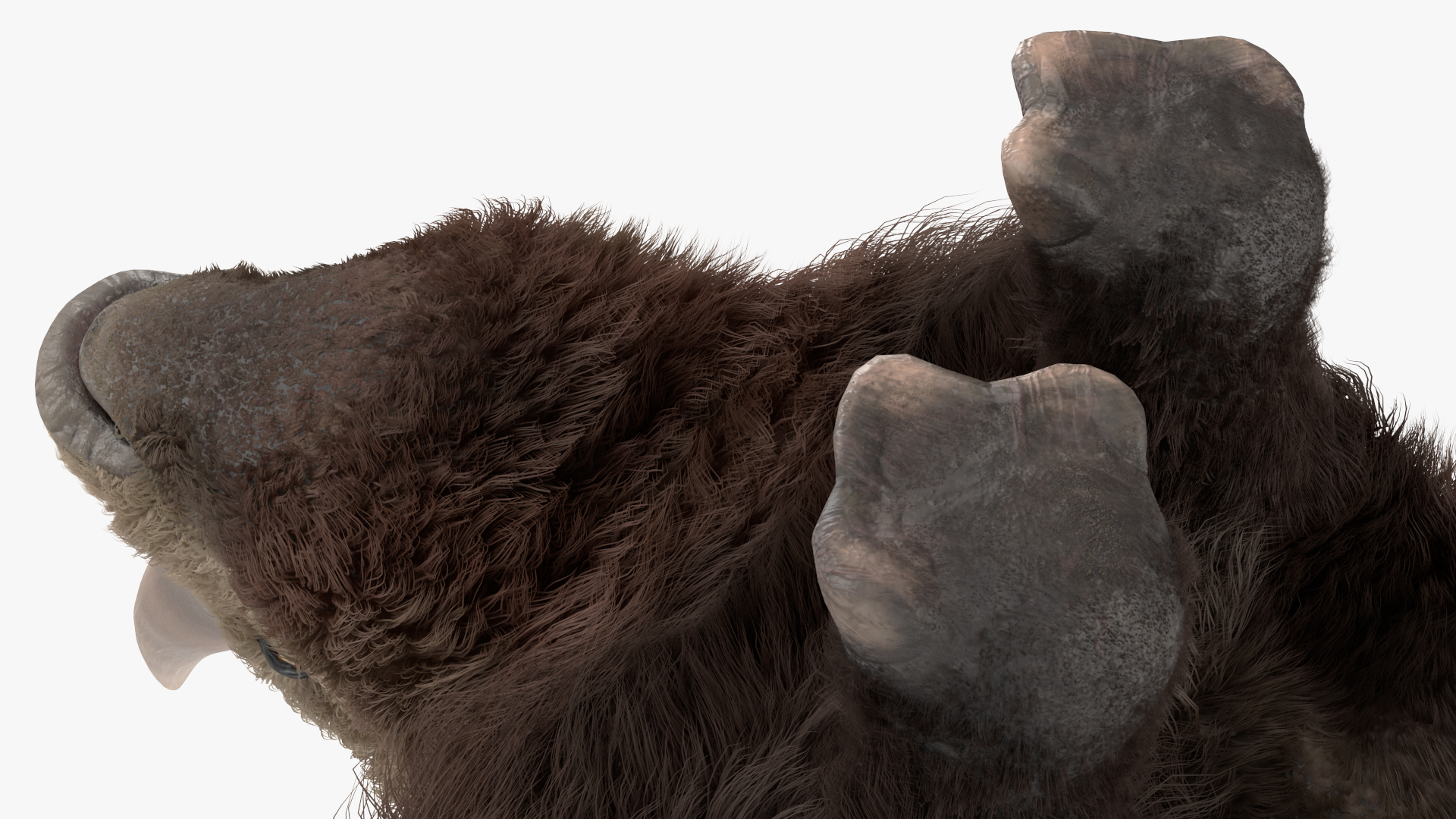 3D Siberian Unicorn Walking Pose Fur model