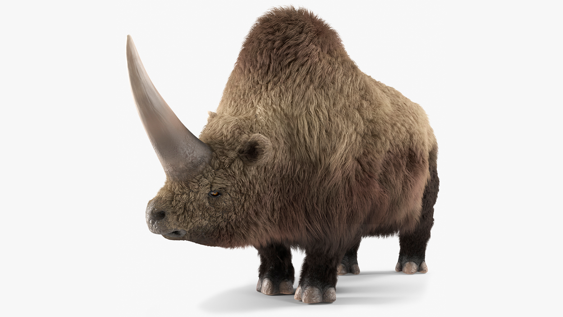 3D Siberian Unicorn Walking Pose Fur model