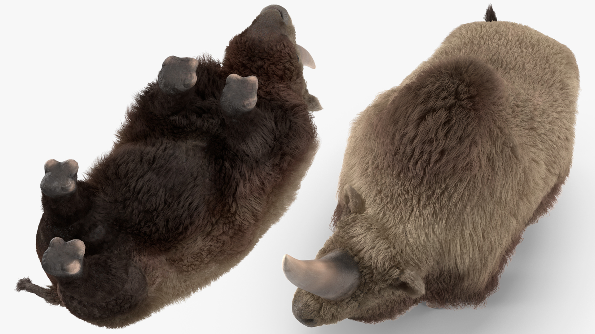 3D Siberian Unicorn Walking Pose Fur model