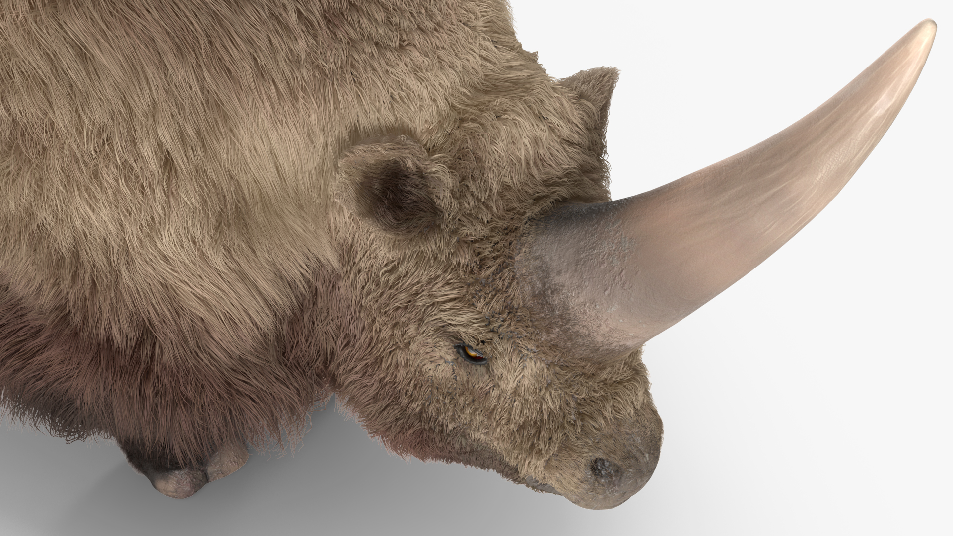 3D Siberian Unicorn Walking Pose Fur model