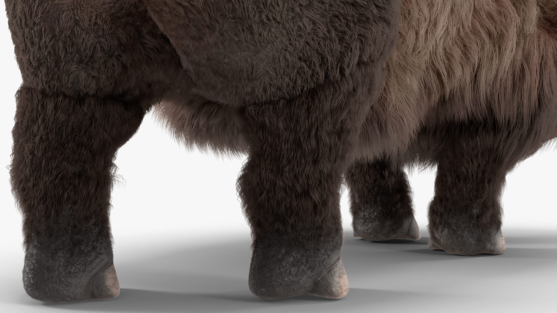3D Siberian Unicorn Walking Pose Fur model