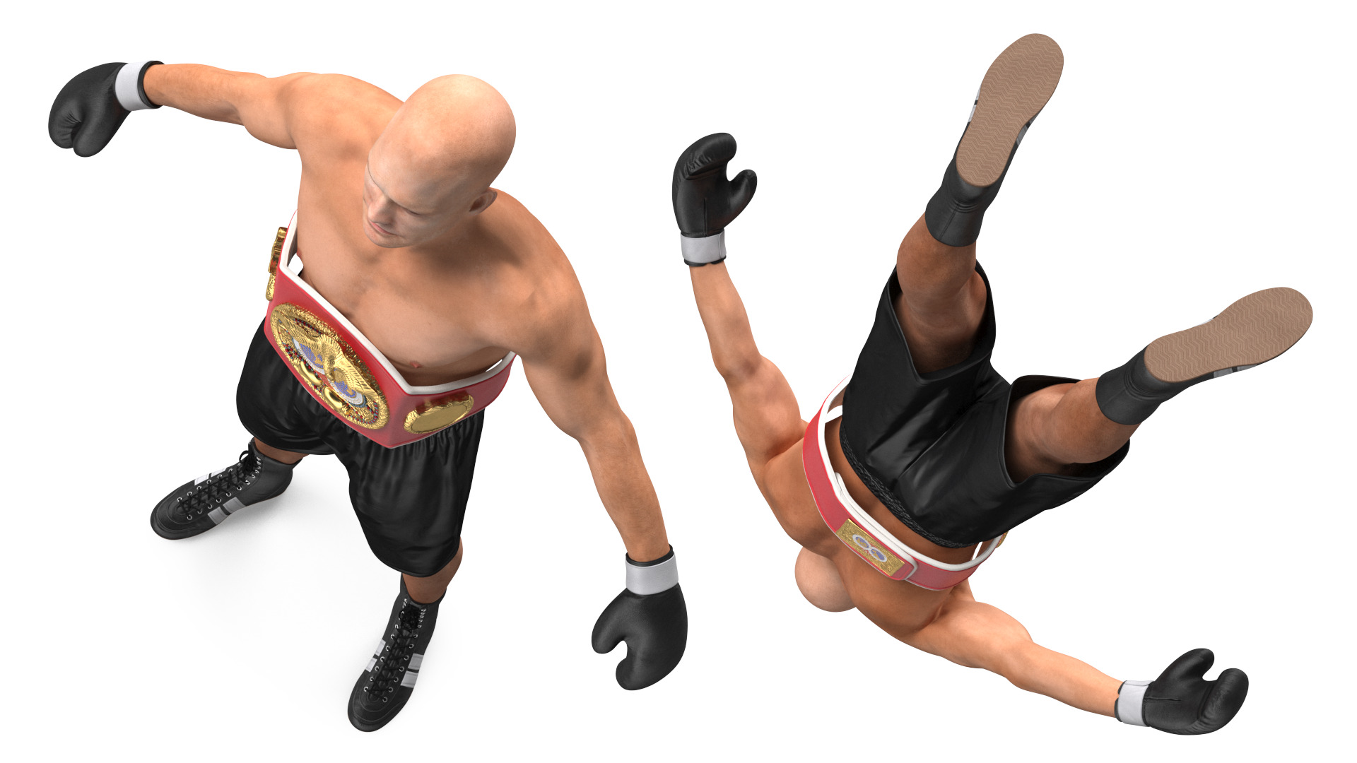 3D model IBF Boxing Champion Rigged for Maya