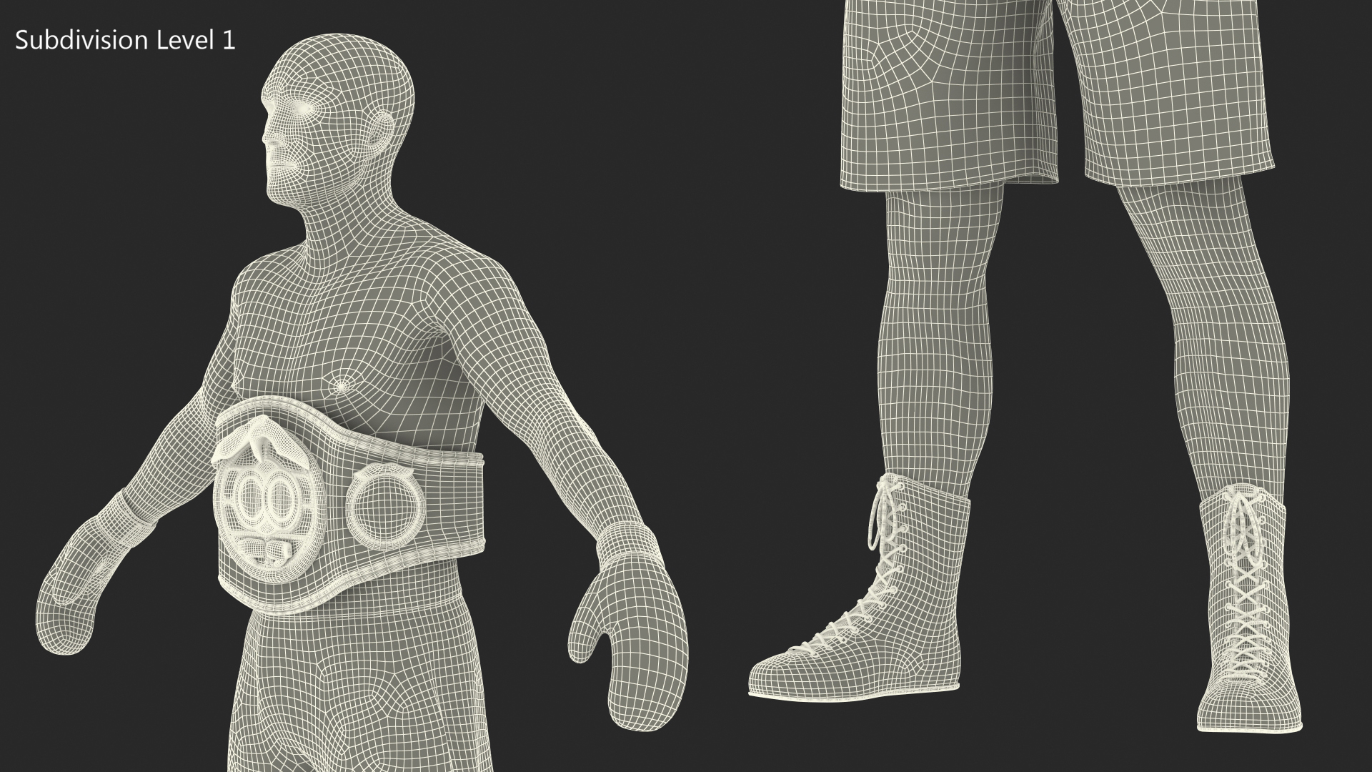 3D model IBF Boxing Champion Rigged for Maya