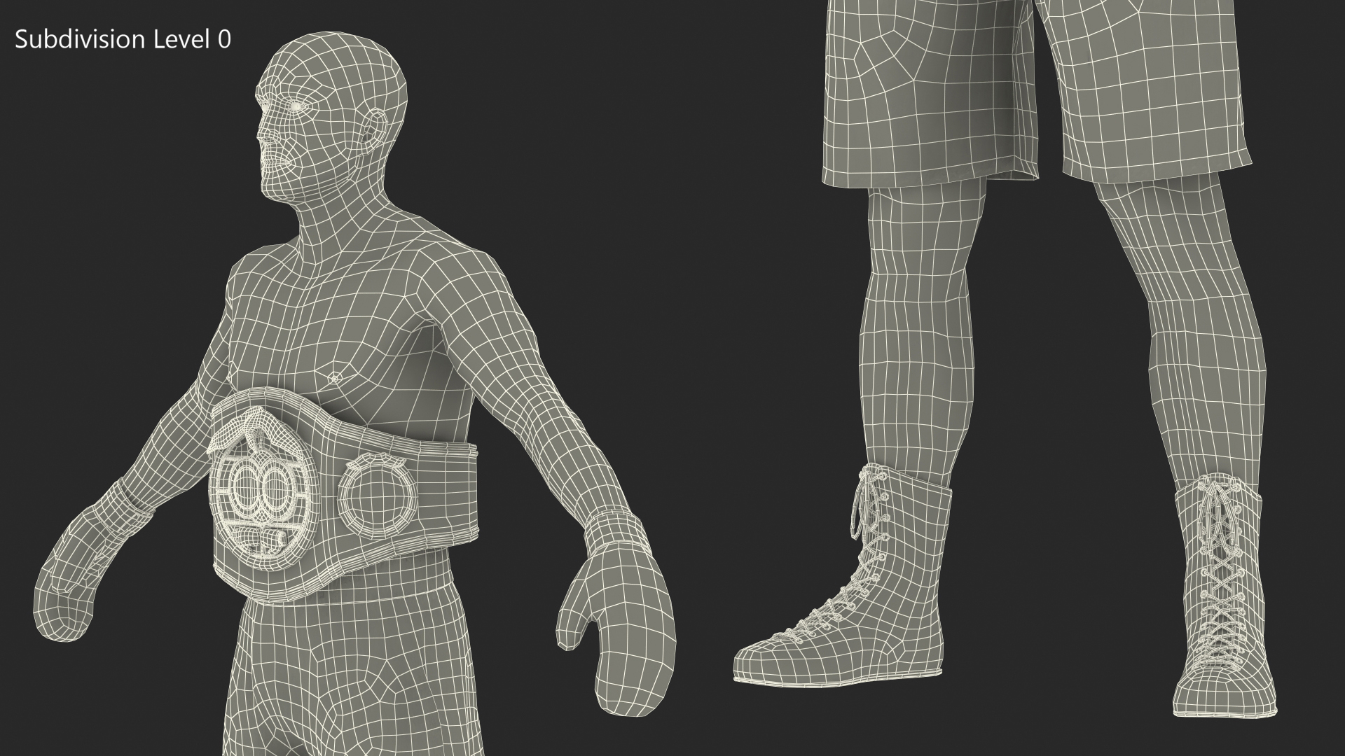 3D model IBF Boxing Champion Rigged for Maya