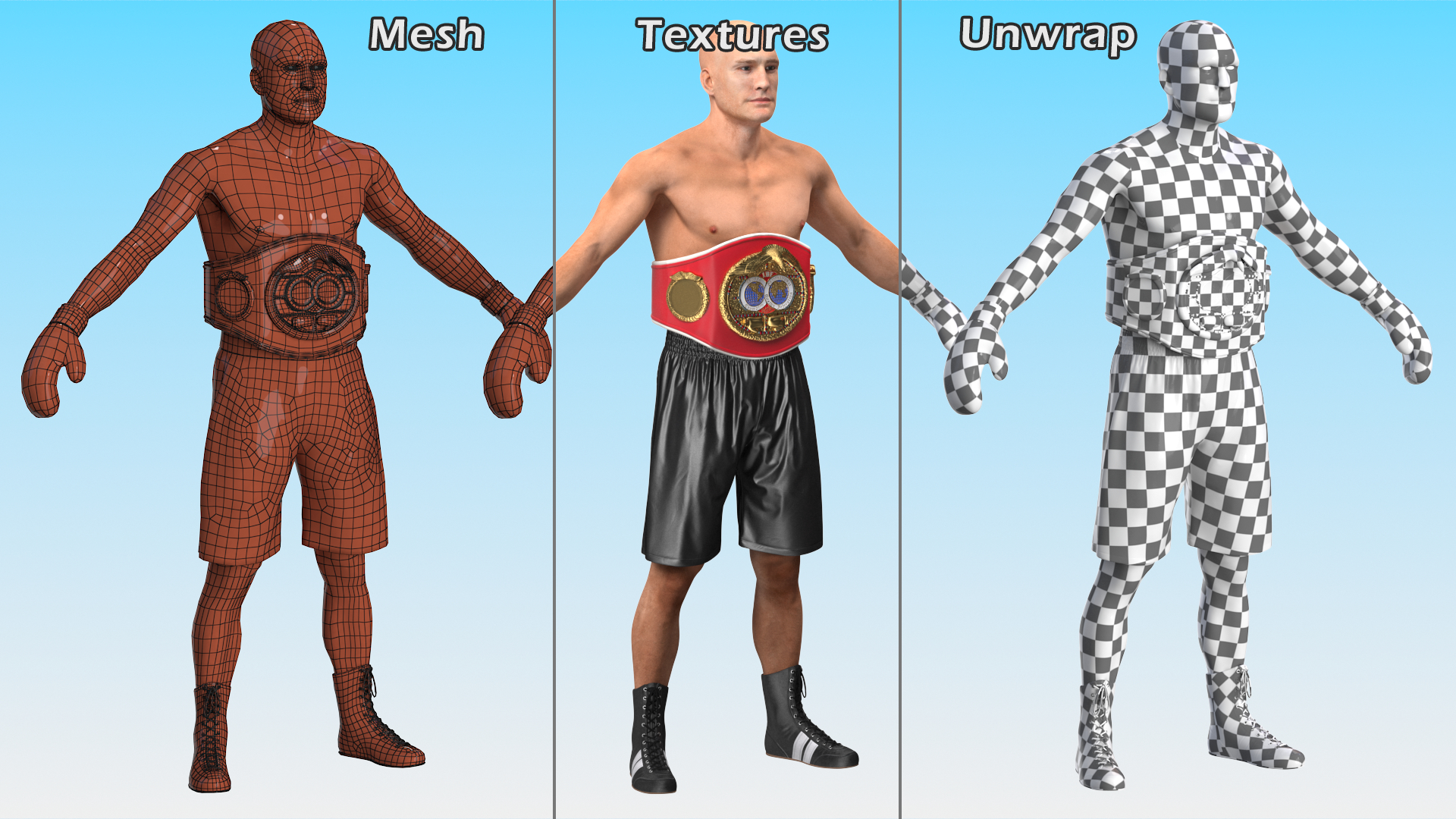 3D model IBF Boxing Champion Rigged for Maya