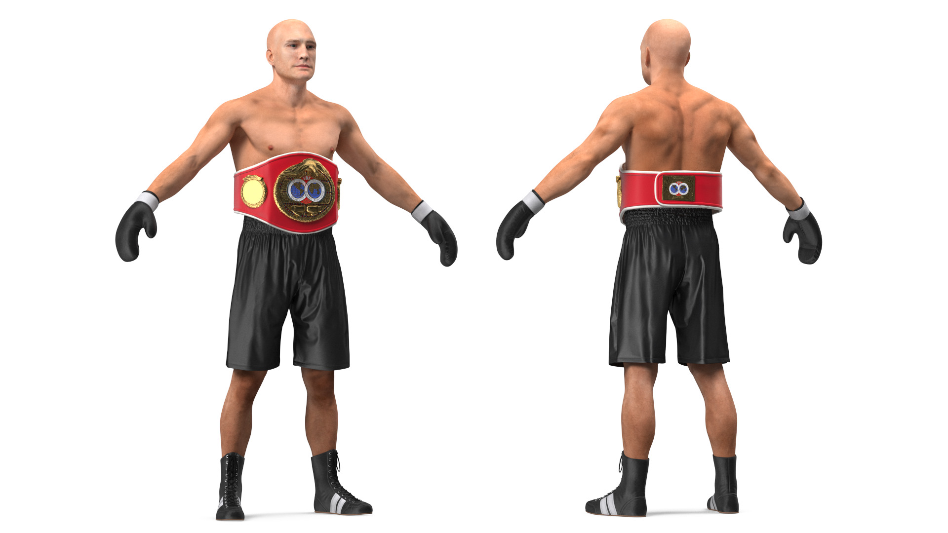 3D model IBF Boxing Champion Rigged for Maya