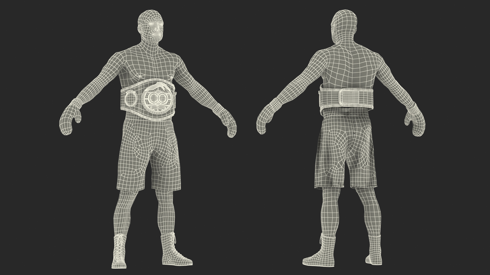 3D model IBF Boxing Champion Rigged for Maya