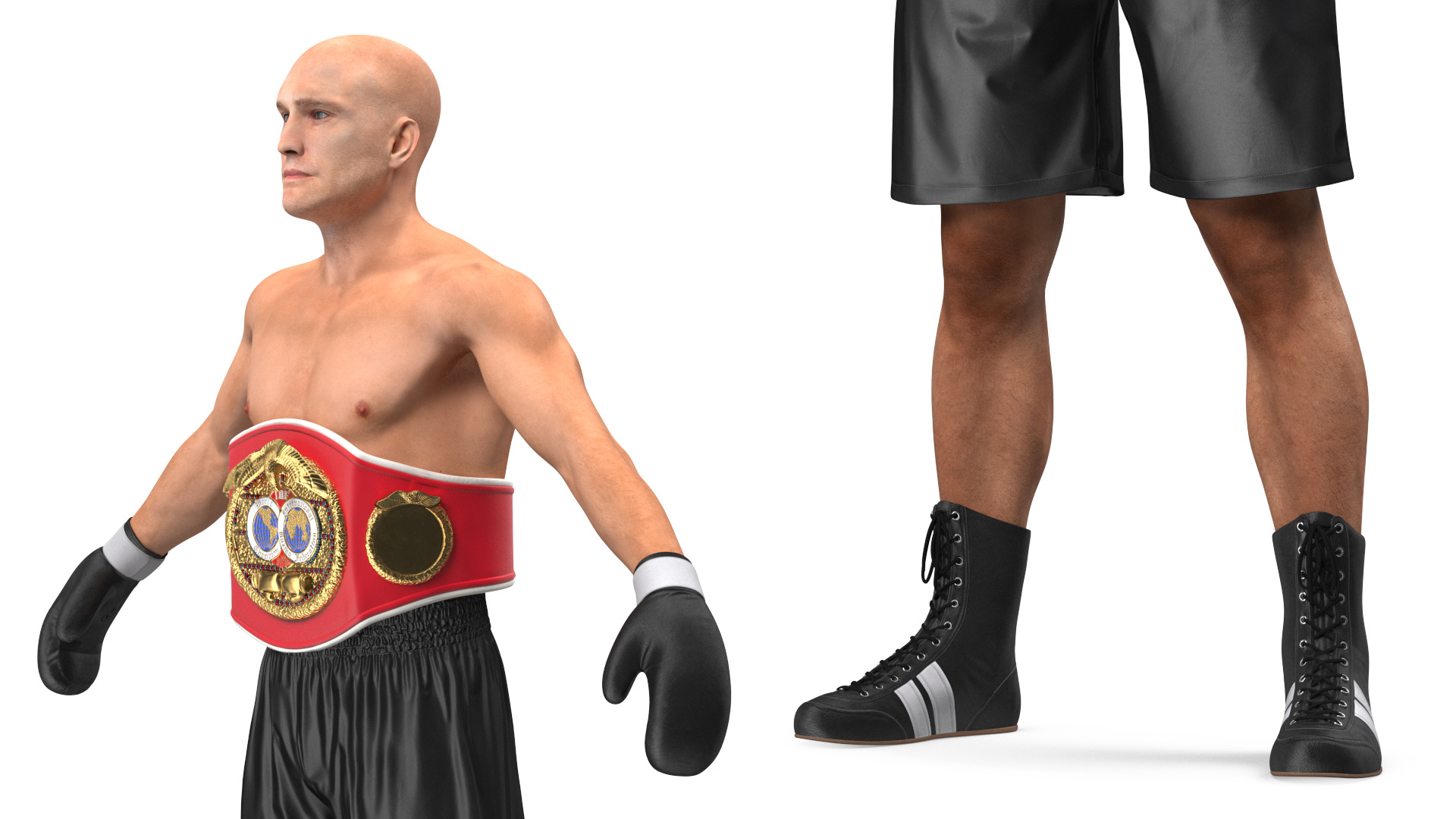 3D model IBF Boxing Champion Rigged for Maya