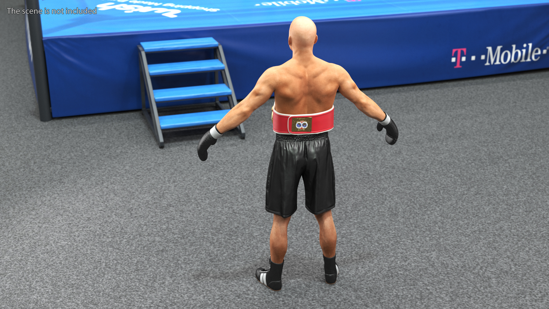 3D model IBF Boxing Champion Rigged for Maya
