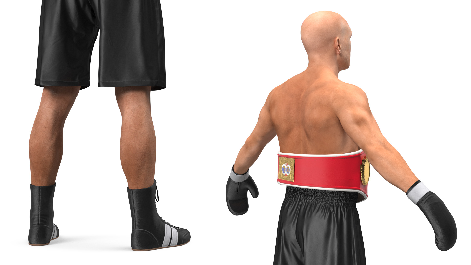 3D model IBF Boxing Champion Rigged for Maya