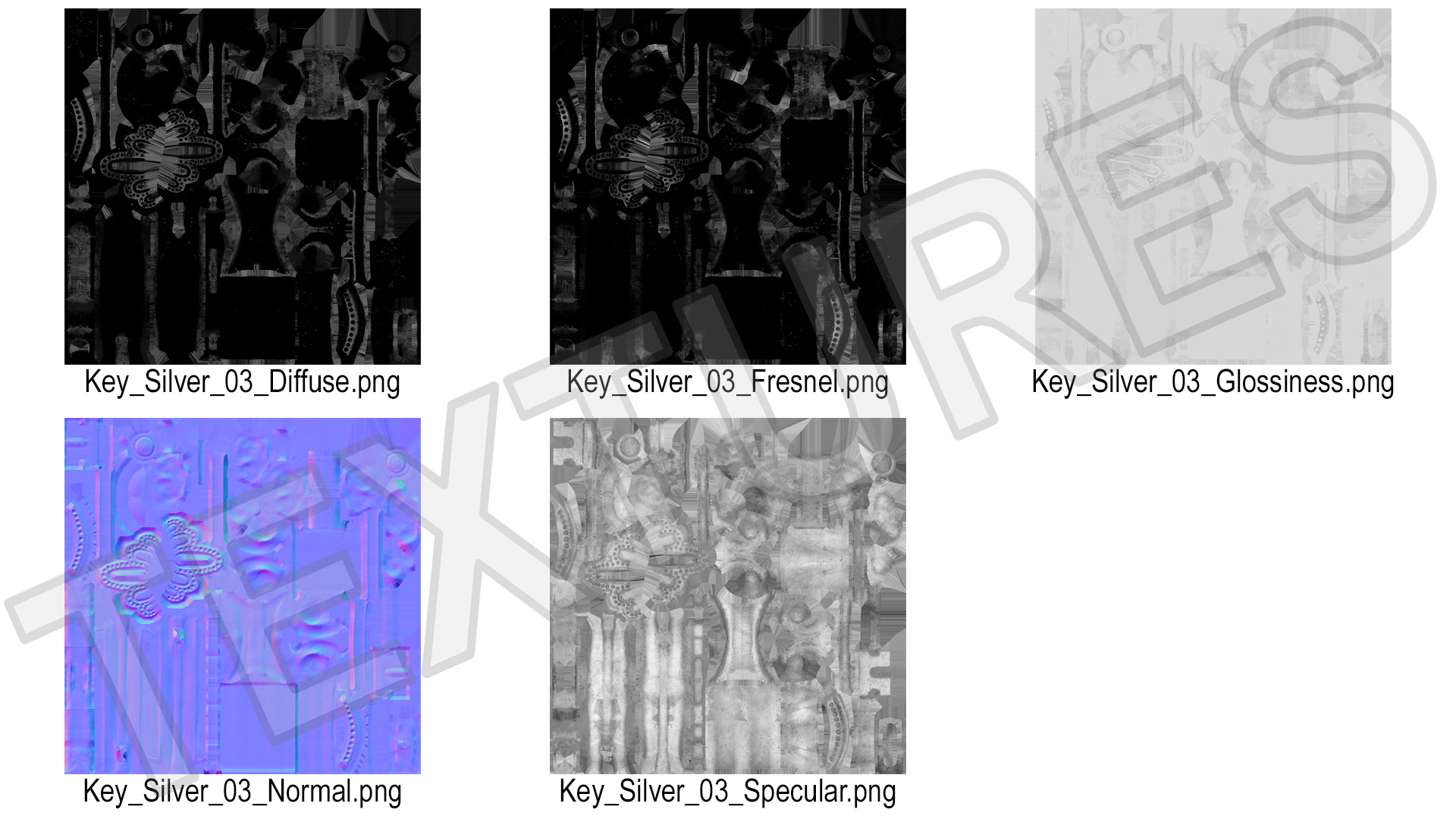 3D model Decorative Skeleton Key Silver