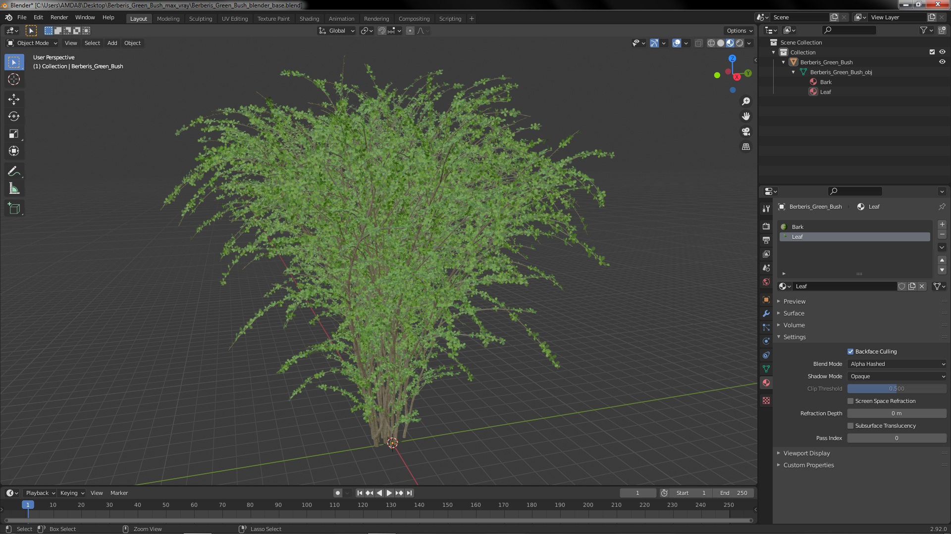 Berberis Green Bush 3D model