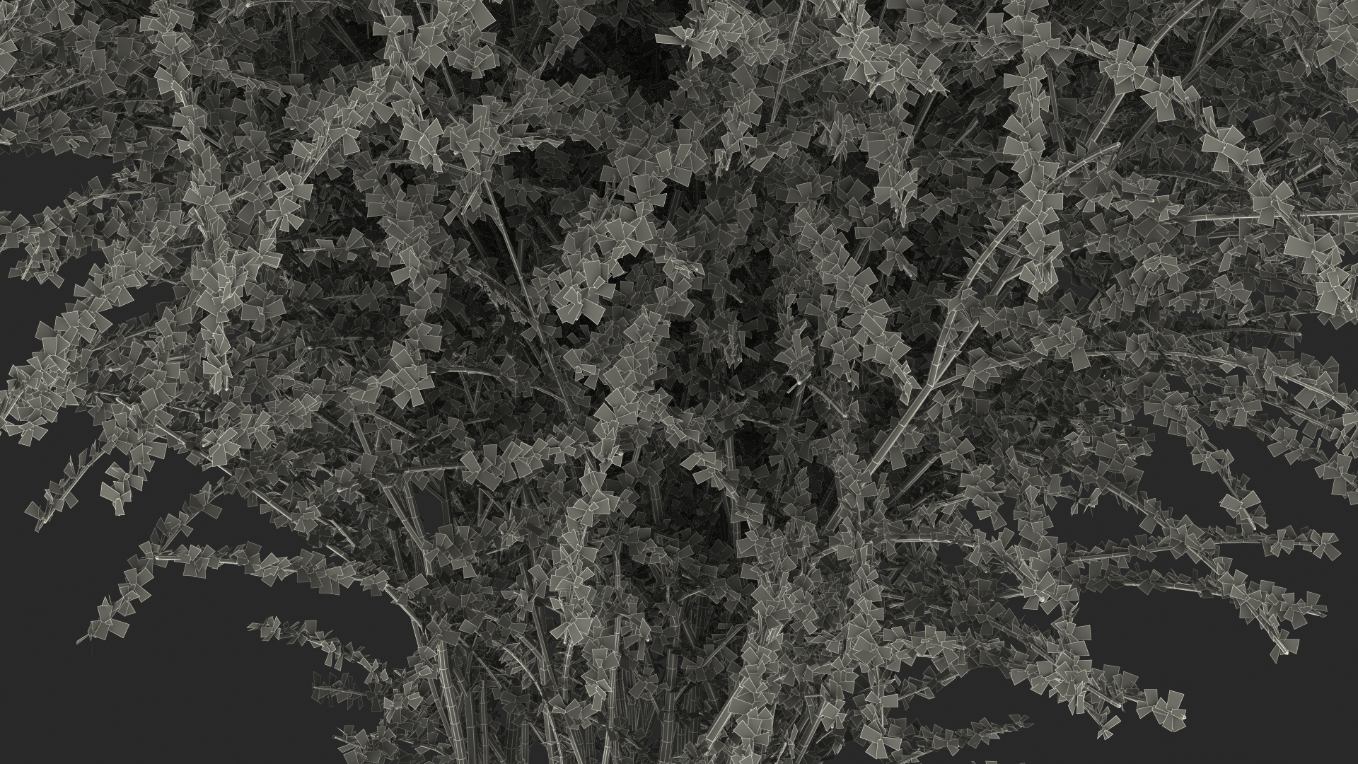 Berberis Green Bush 3D model