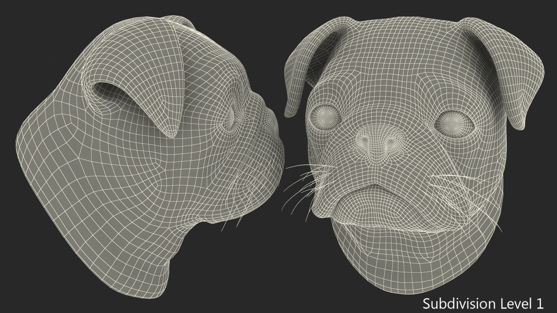 Pug Dog Head 3D