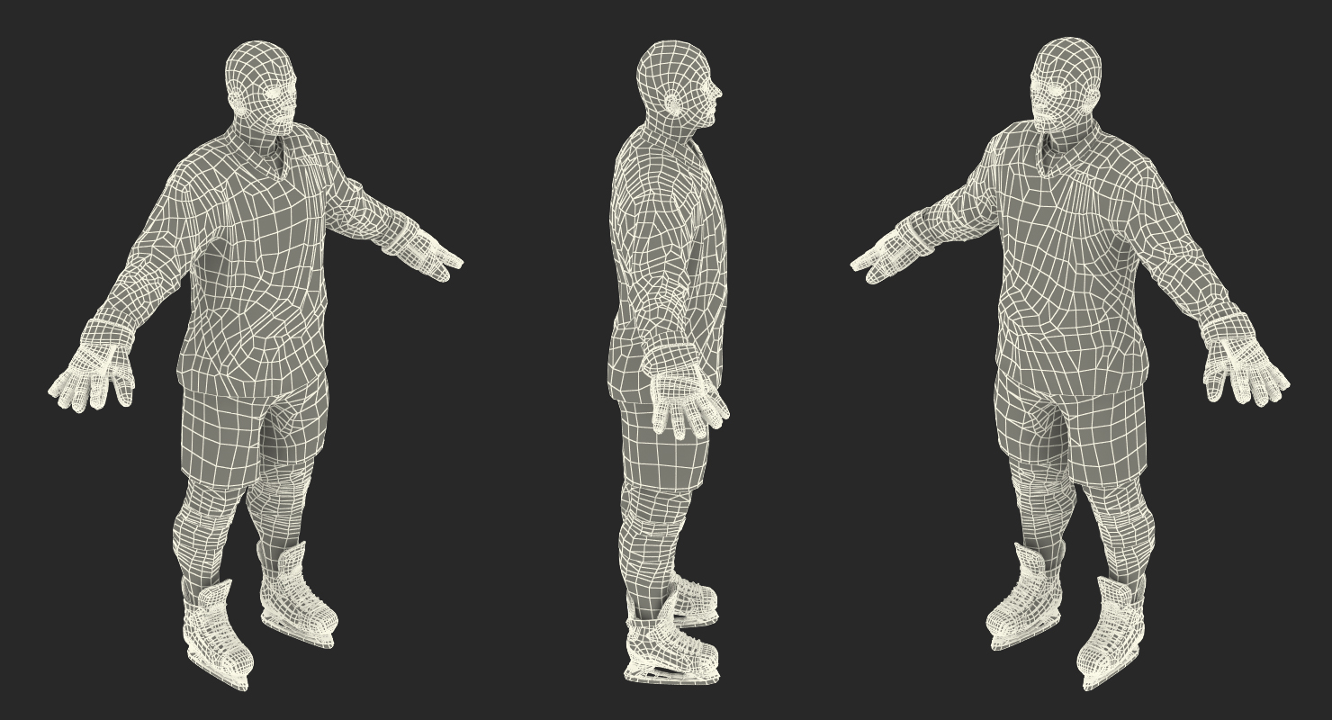 3D Hockey Player Dallas Stars