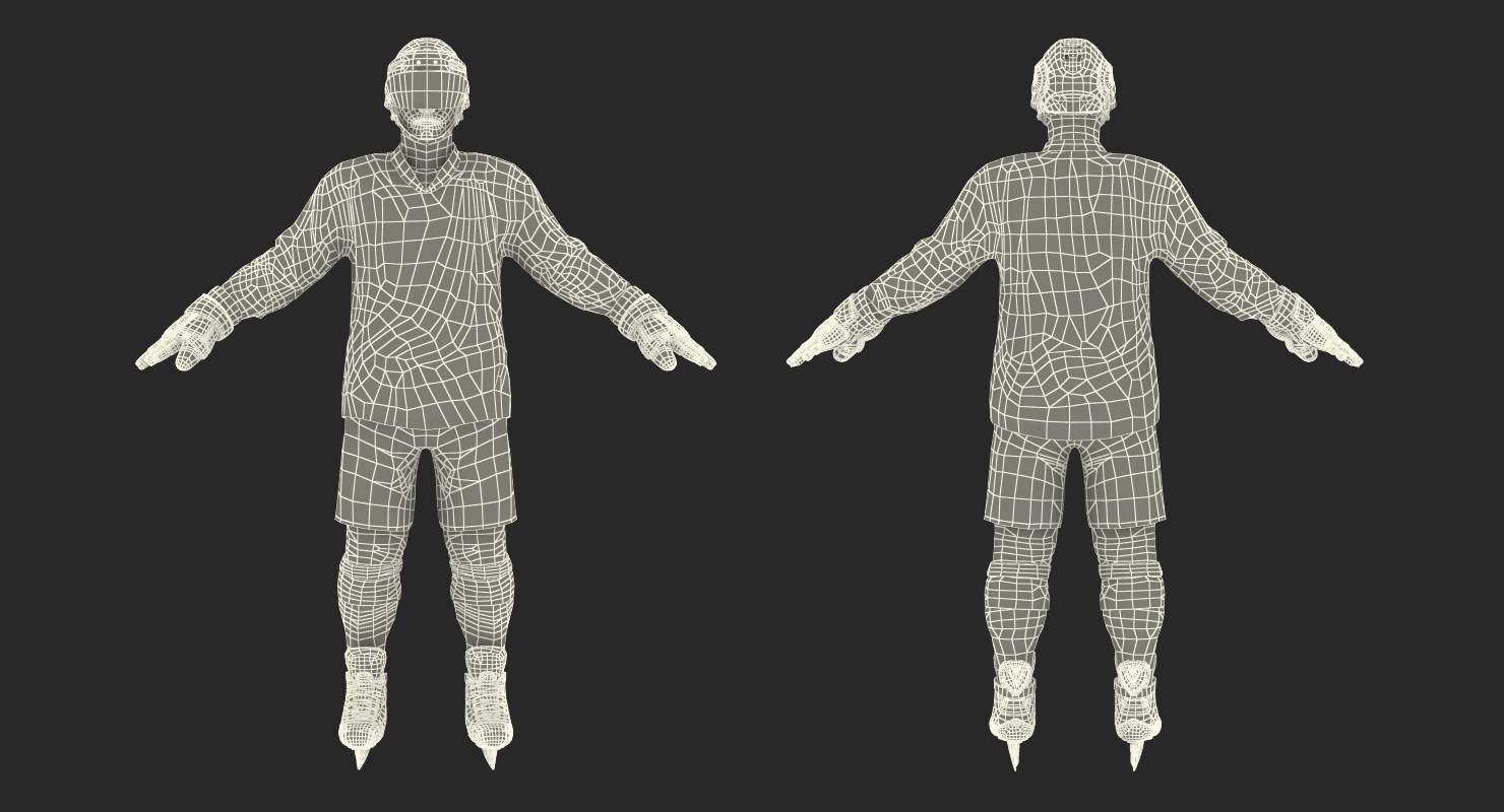 3D Hockey Player Dallas Stars
