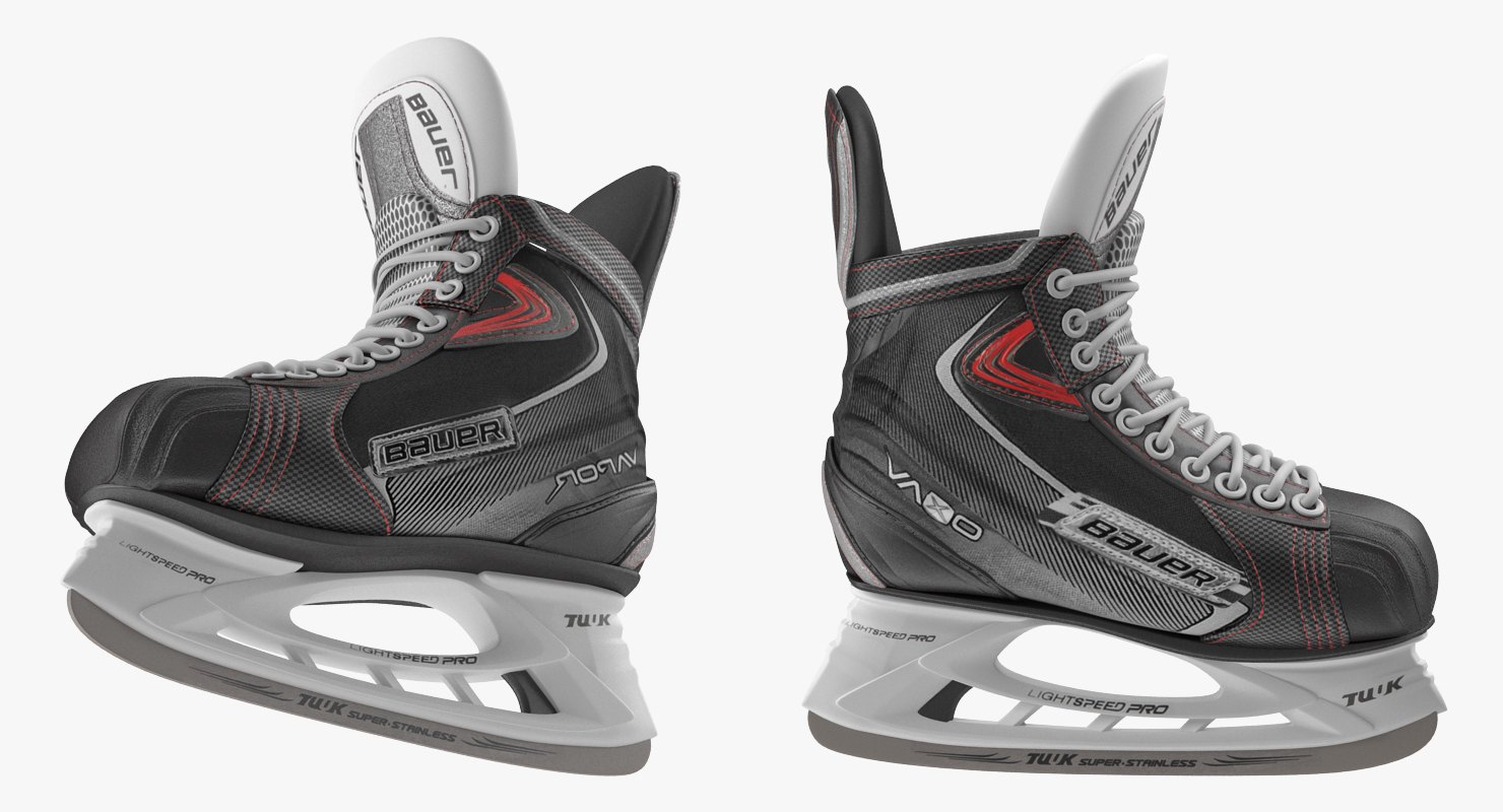 3D Hockey Player Dallas Stars