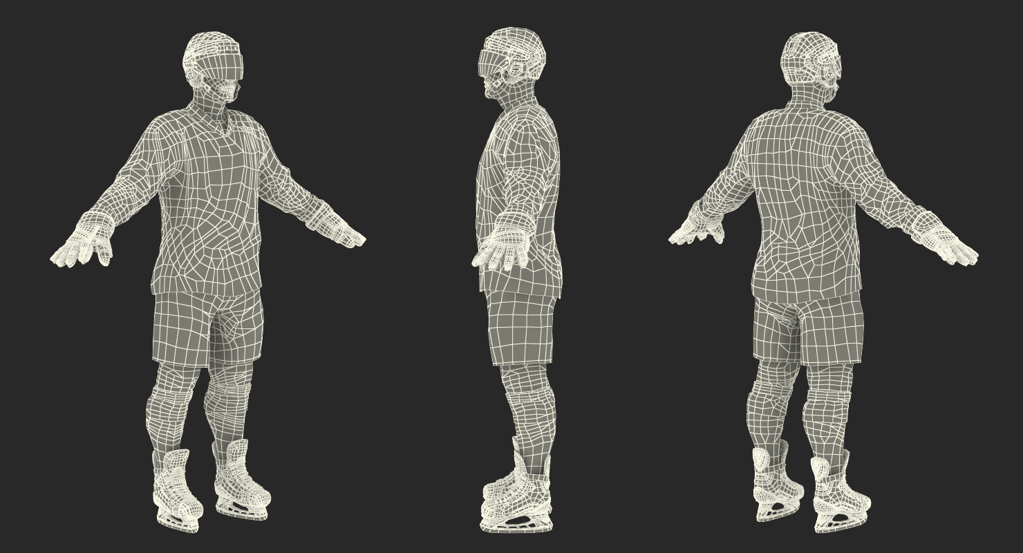 3D Hockey Player Dallas Stars