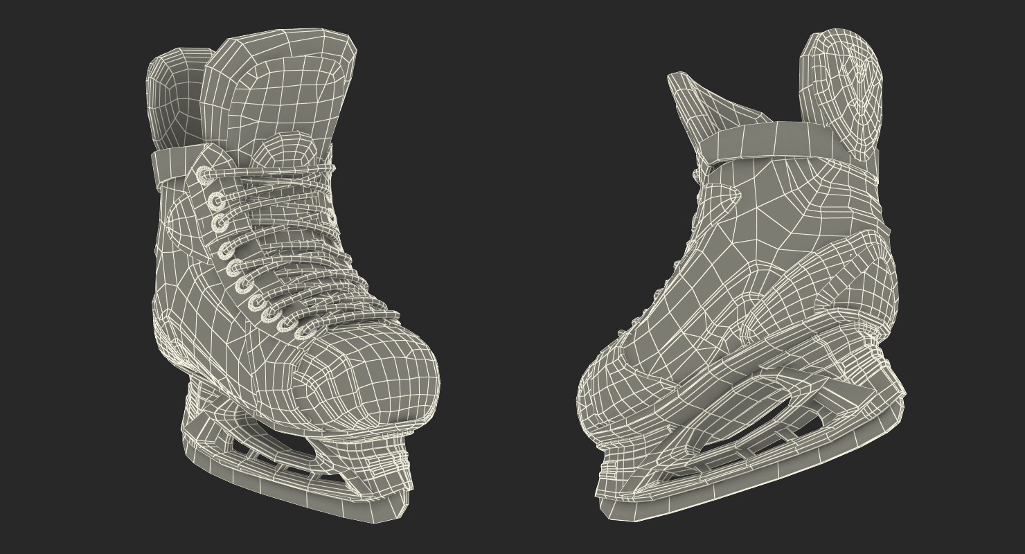 3D Hockey Player Dallas Stars