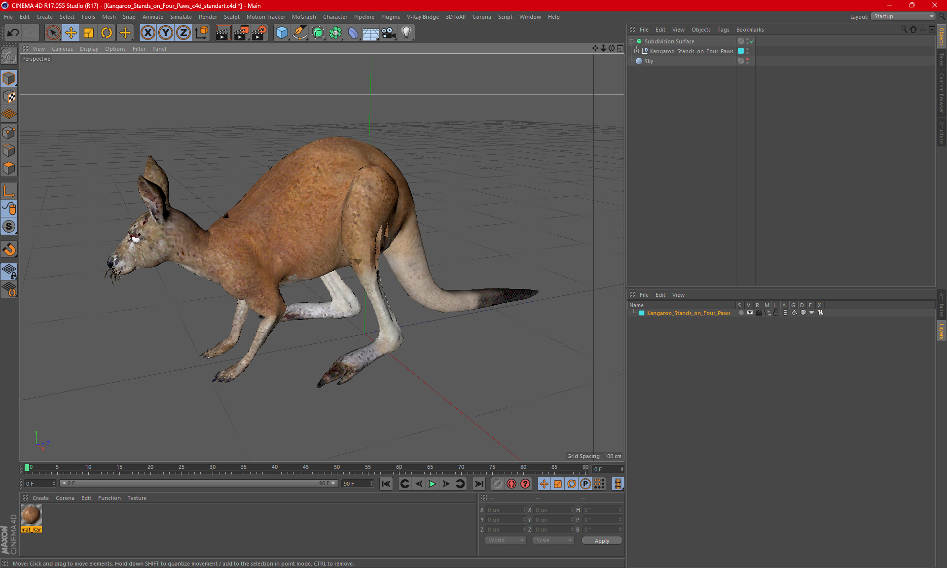 3D Kangaroo Stands on Four Paws model