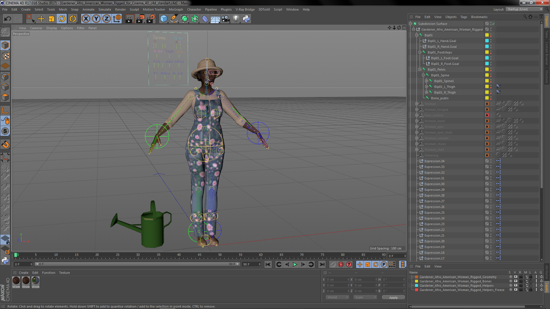 Gardener Afro American Woman Rigged for Cinema 4D 3D model