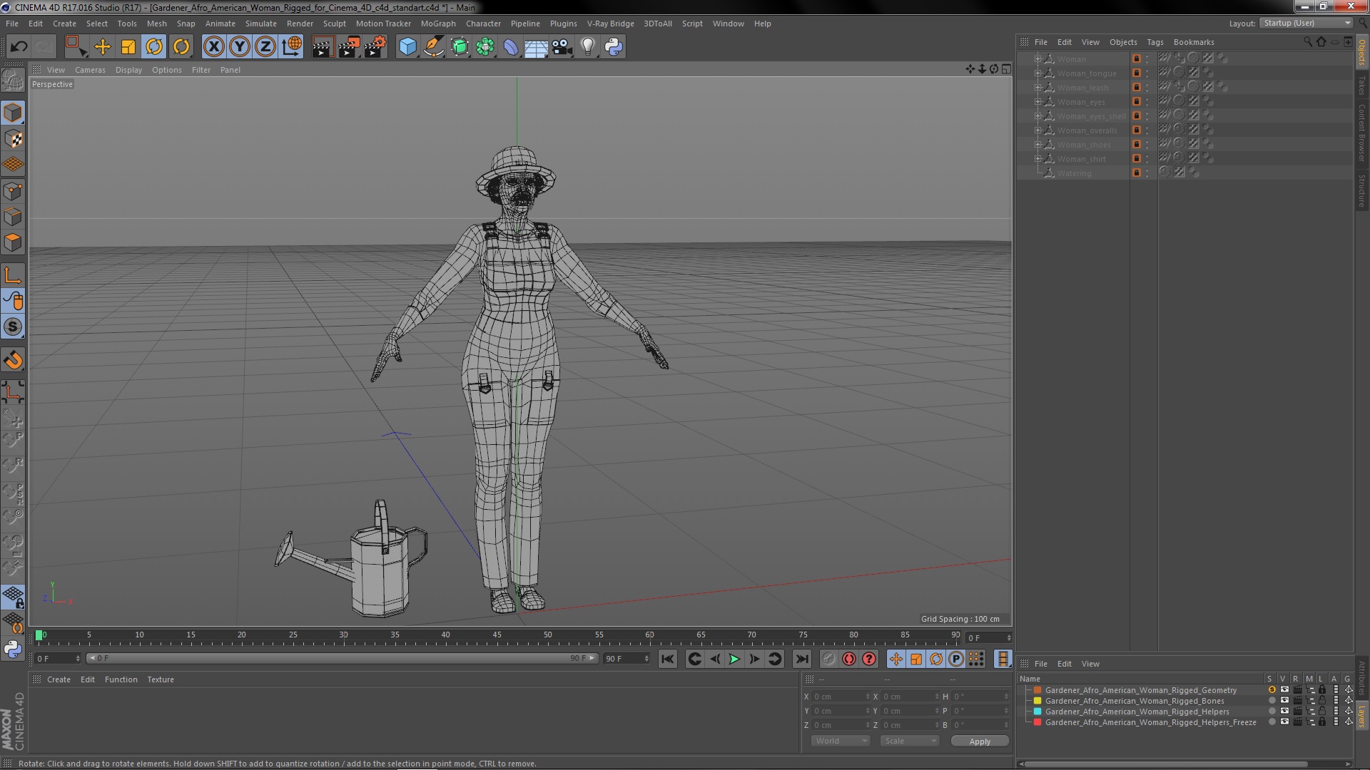 Gardener Afro American Woman Rigged for Cinema 4D 3D model
