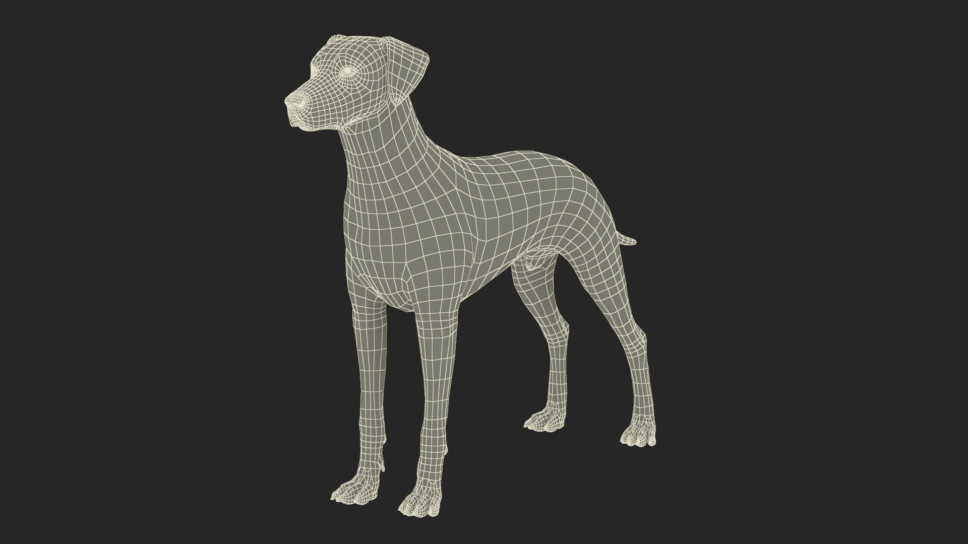 3D Dalmatian Dog model