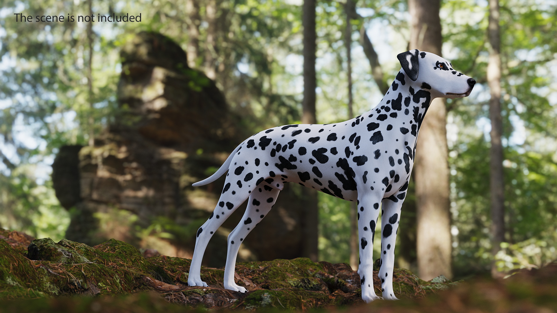 3D Dalmatian Dog model