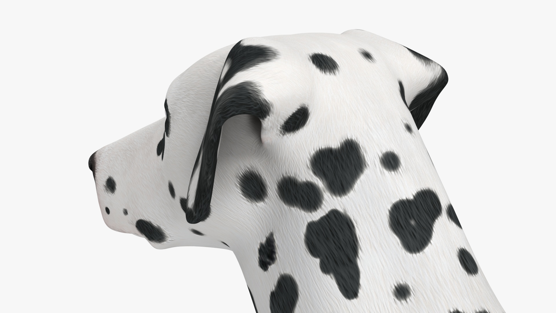 3D Dalmatian Dog model