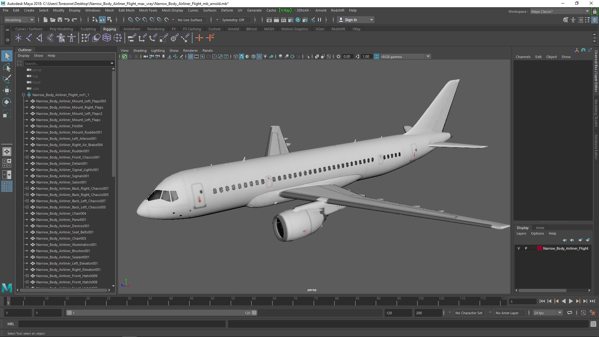 Narrow Body Airliner Flight 3D