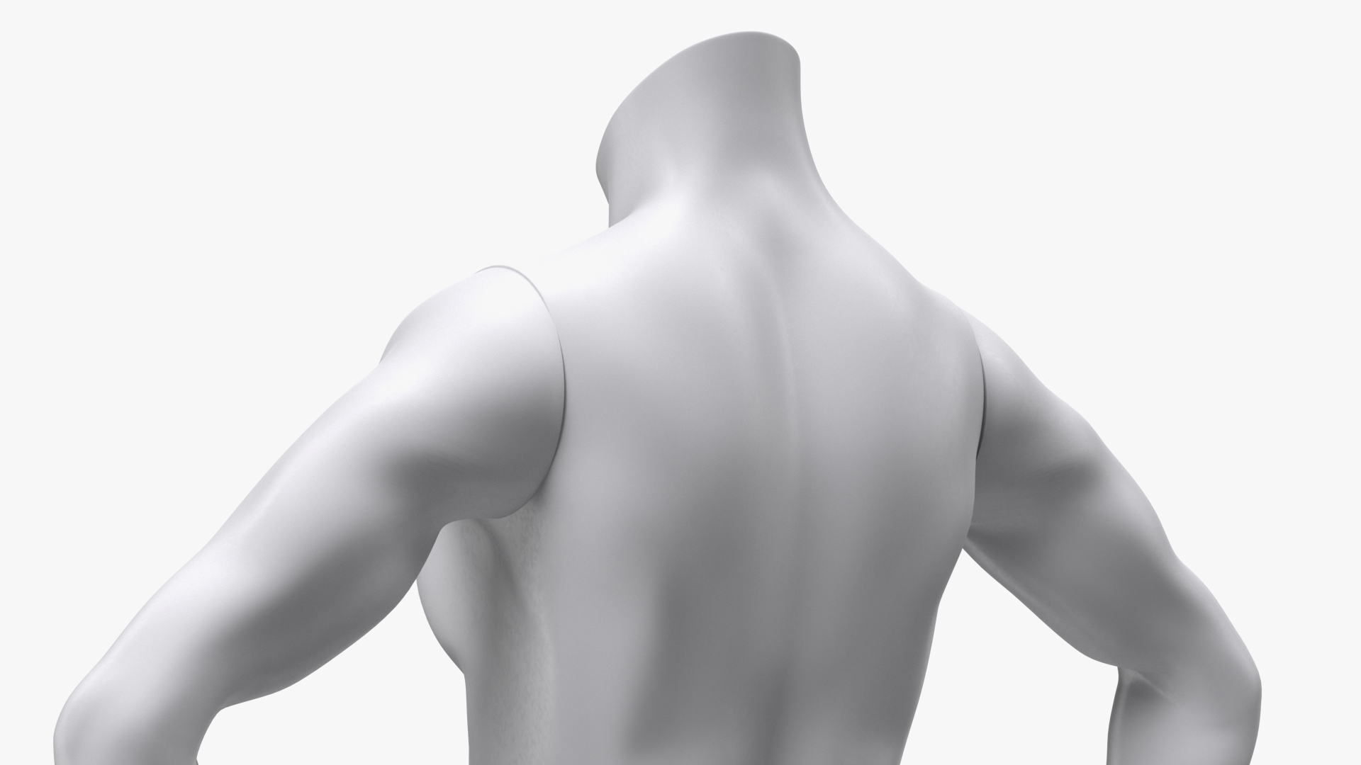 Woman Torso Sports Mannequin White 3D model