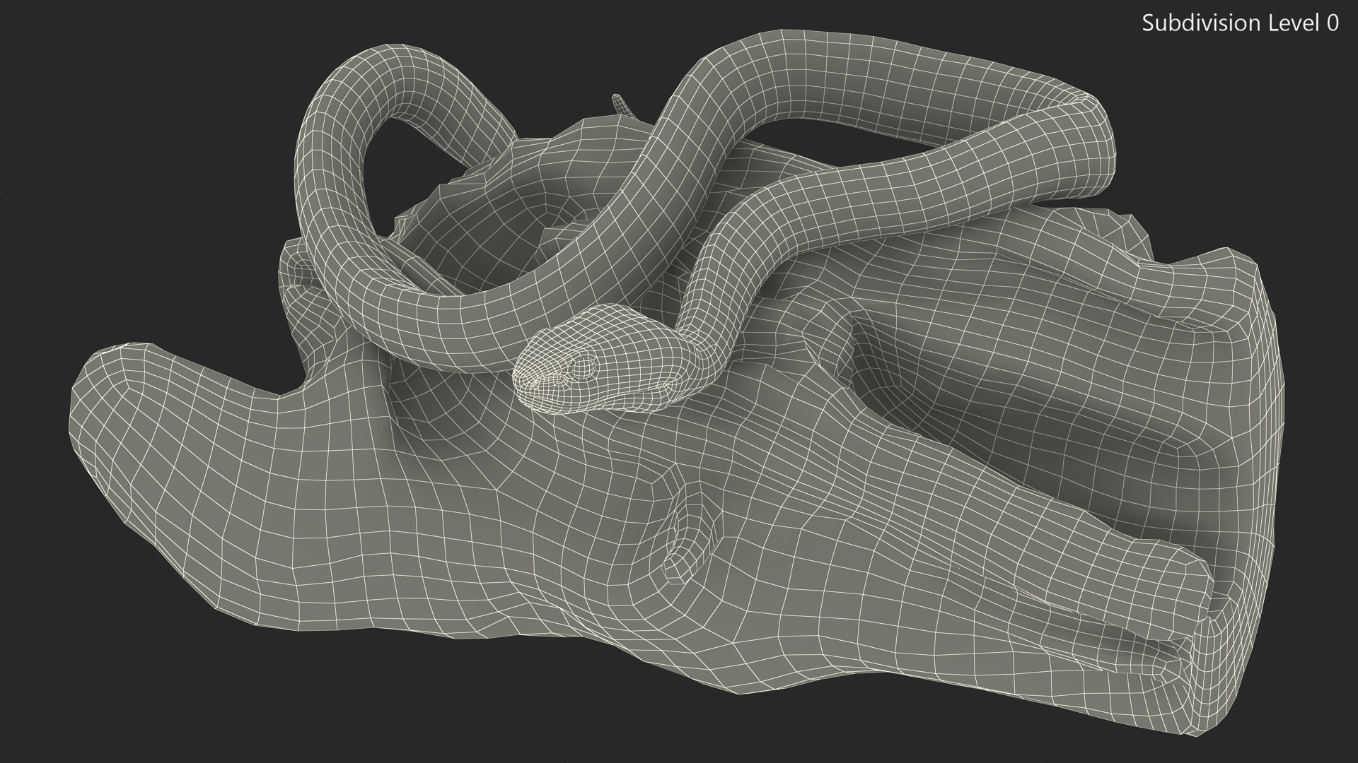Hanging Trunk Blue Snake Trimeresurus 3D