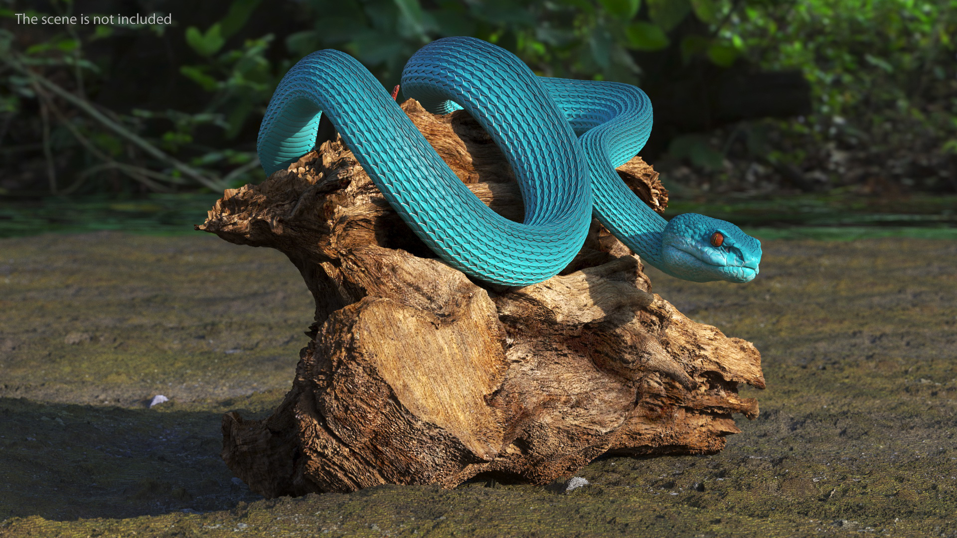 Hanging Trunk Blue Snake Trimeresurus 3D