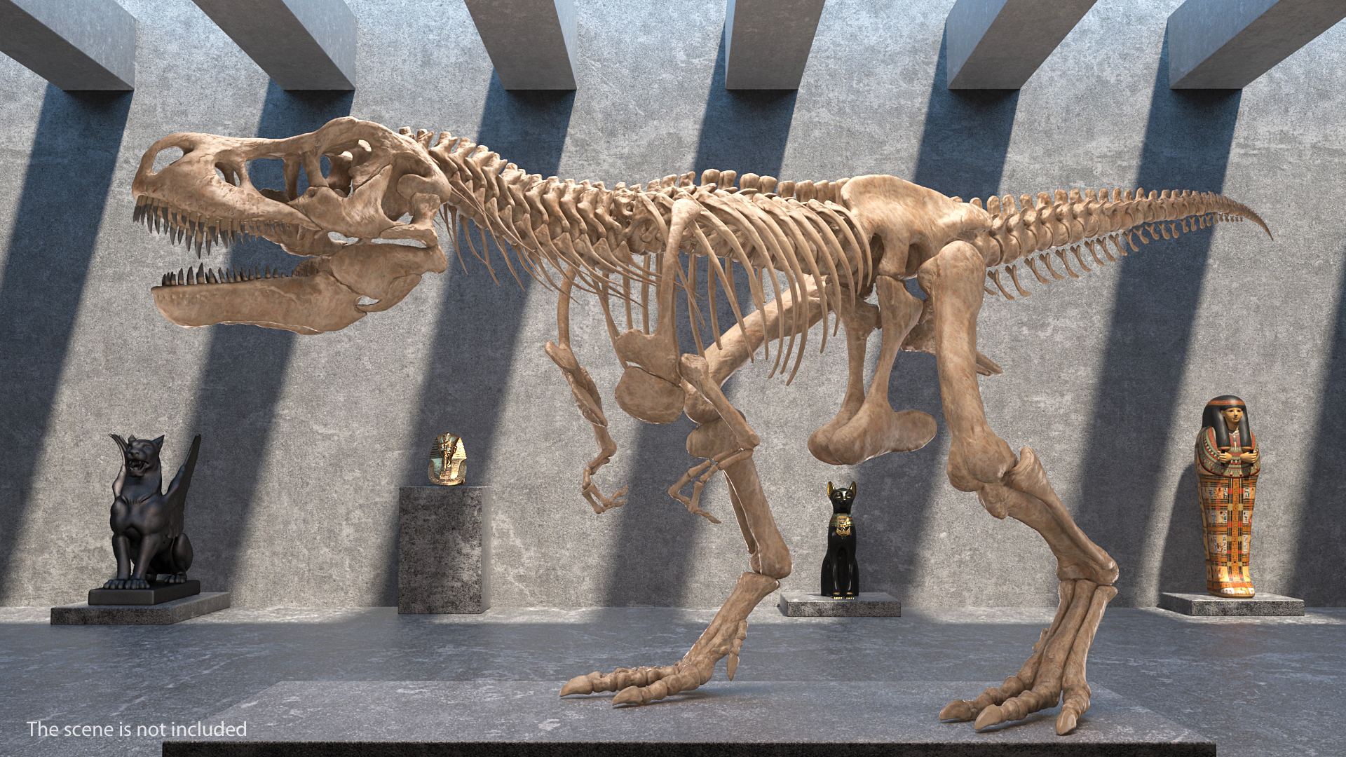3D model Tyrannosaurus Rex Skeleton Fossil Rigged