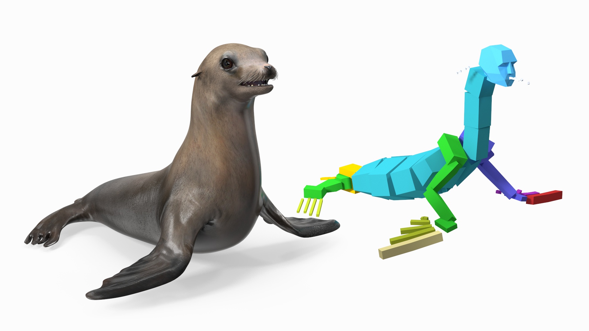 3D model California Sea Lion Rigged for Maya