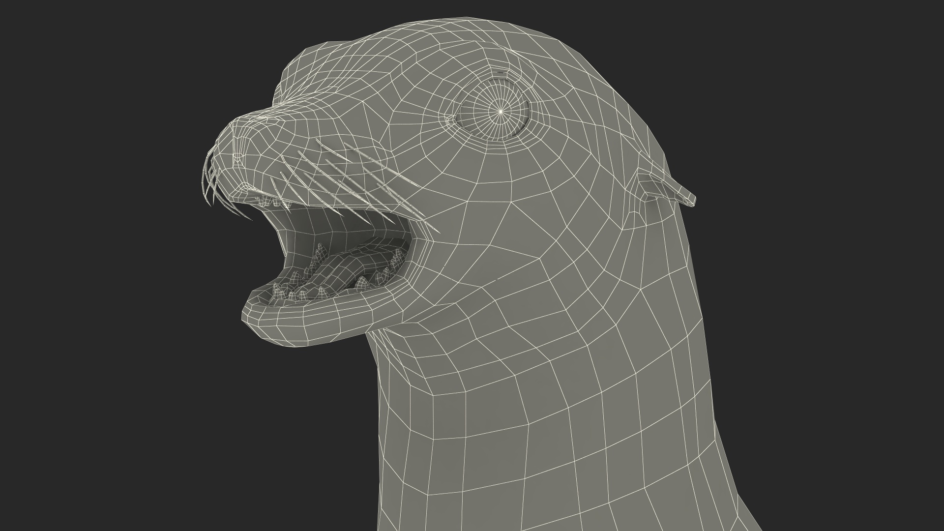 3D model California Sea Lion Rigged for Maya