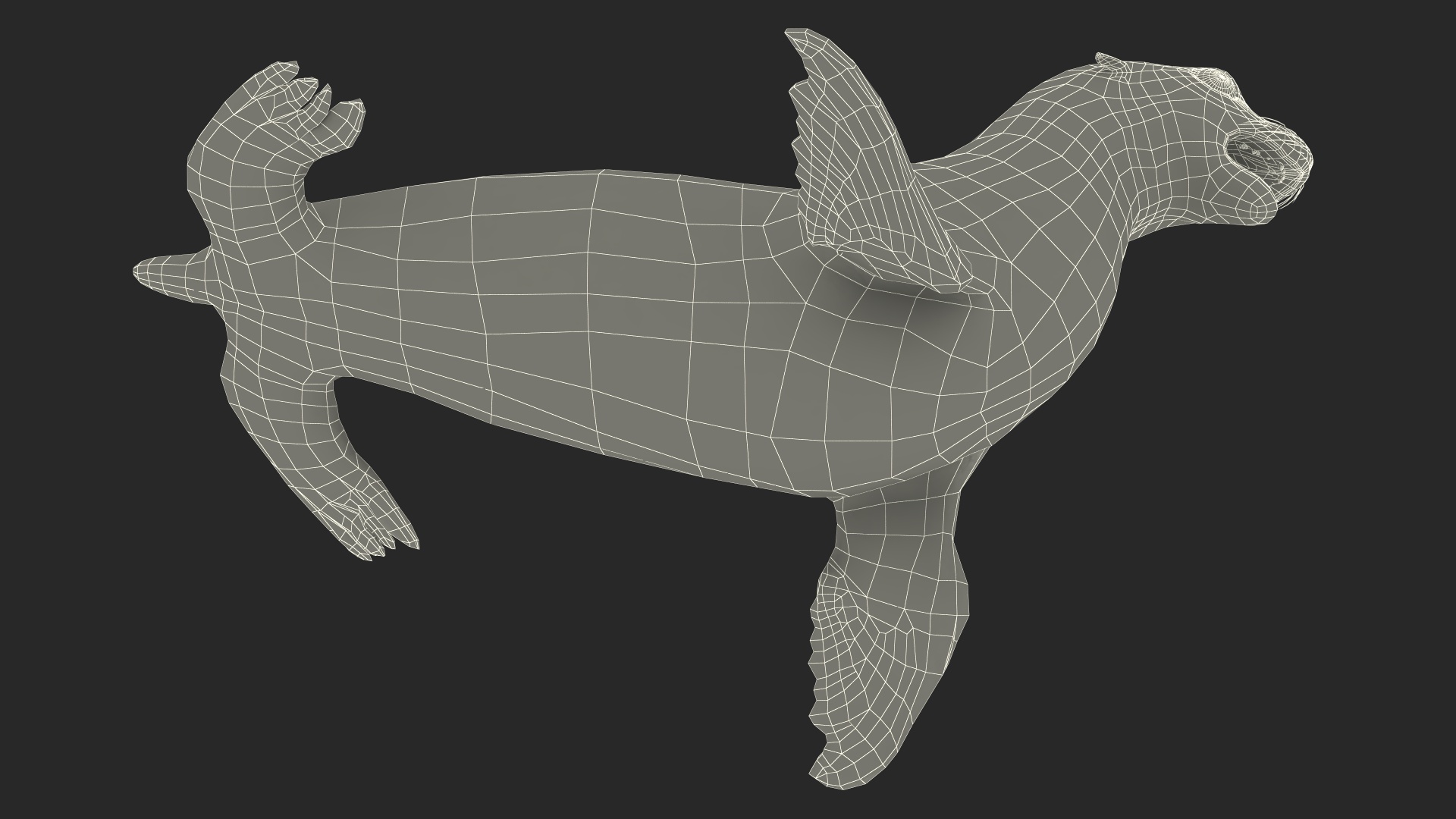 3D model California Sea Lion Rigged for Maya