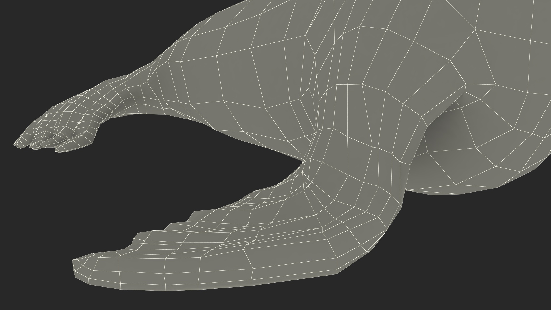 3D model California Sea Lion Rigged for Maya
