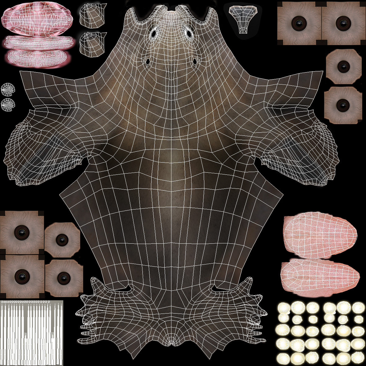 3D model California Sea Lion Rigged for Maya