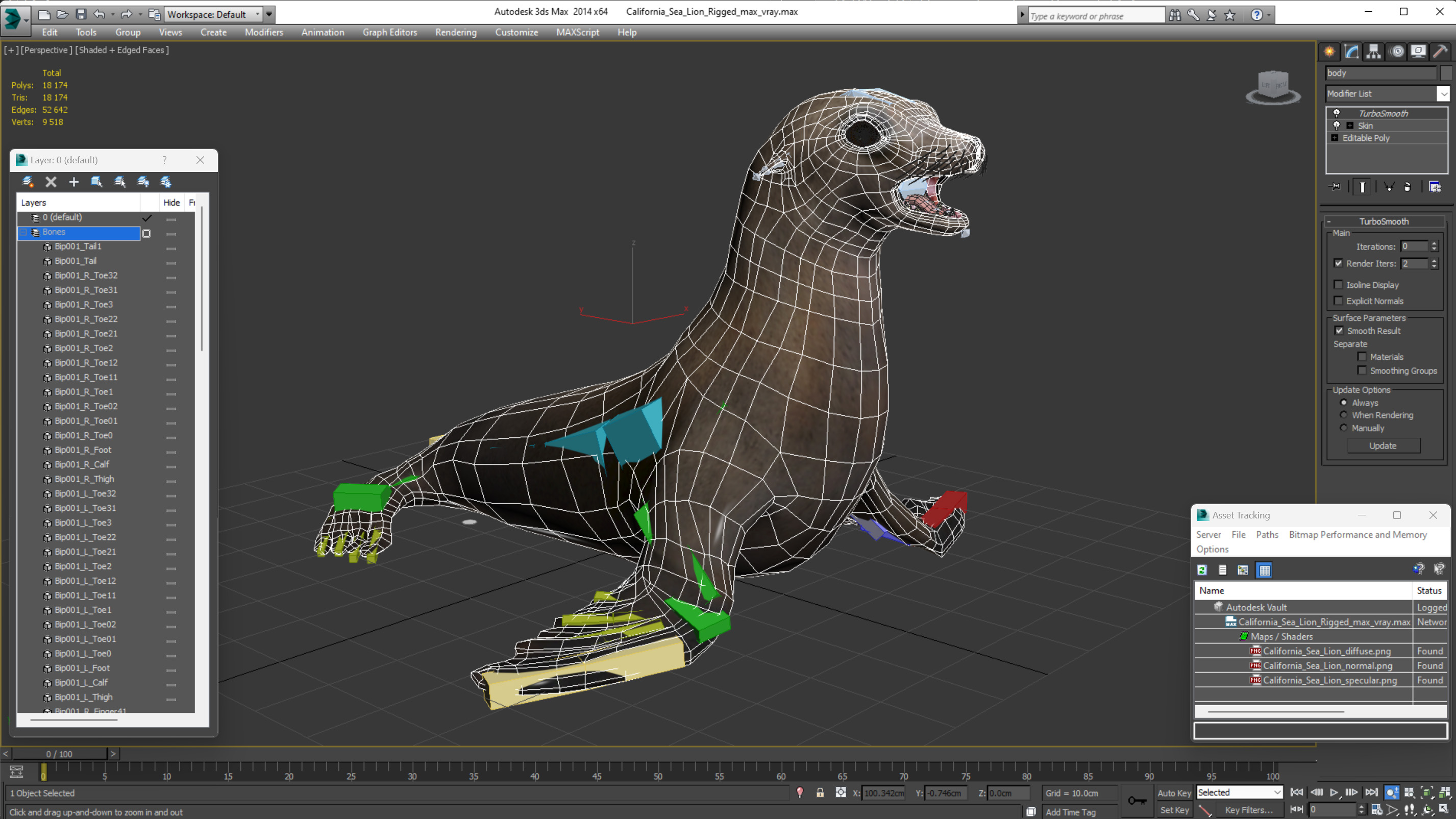 3D model California Sea Lion Rigged for Maya