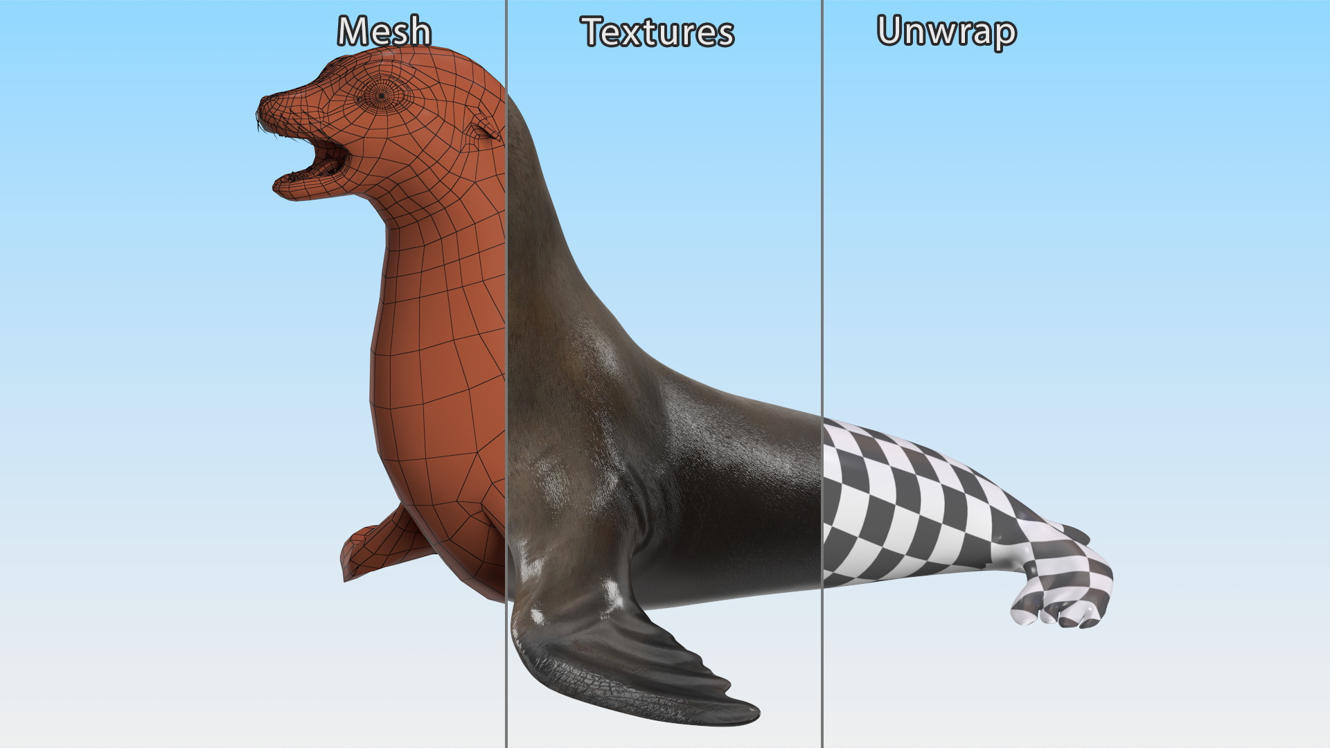 3D model California Sea Lion Rigged for Maya