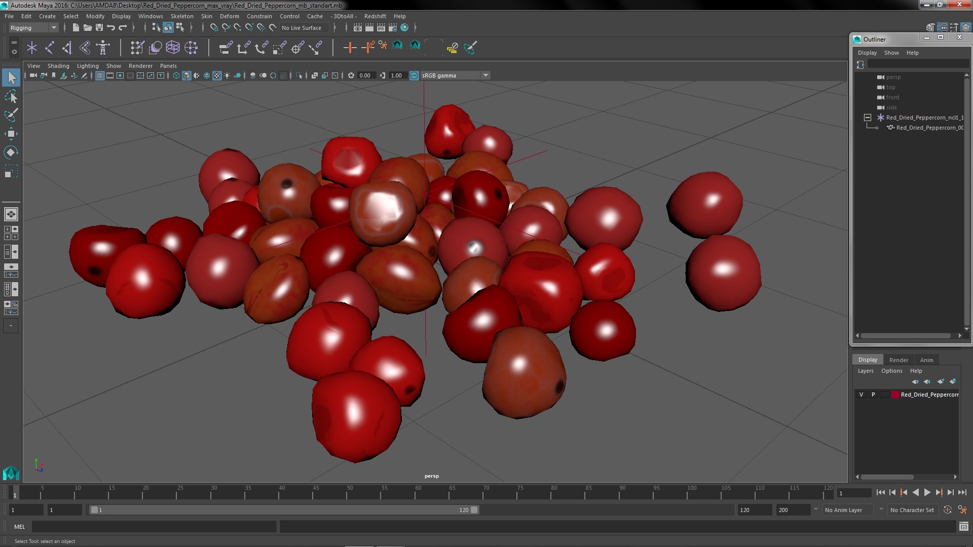 3D model Red Dried Peppercorn