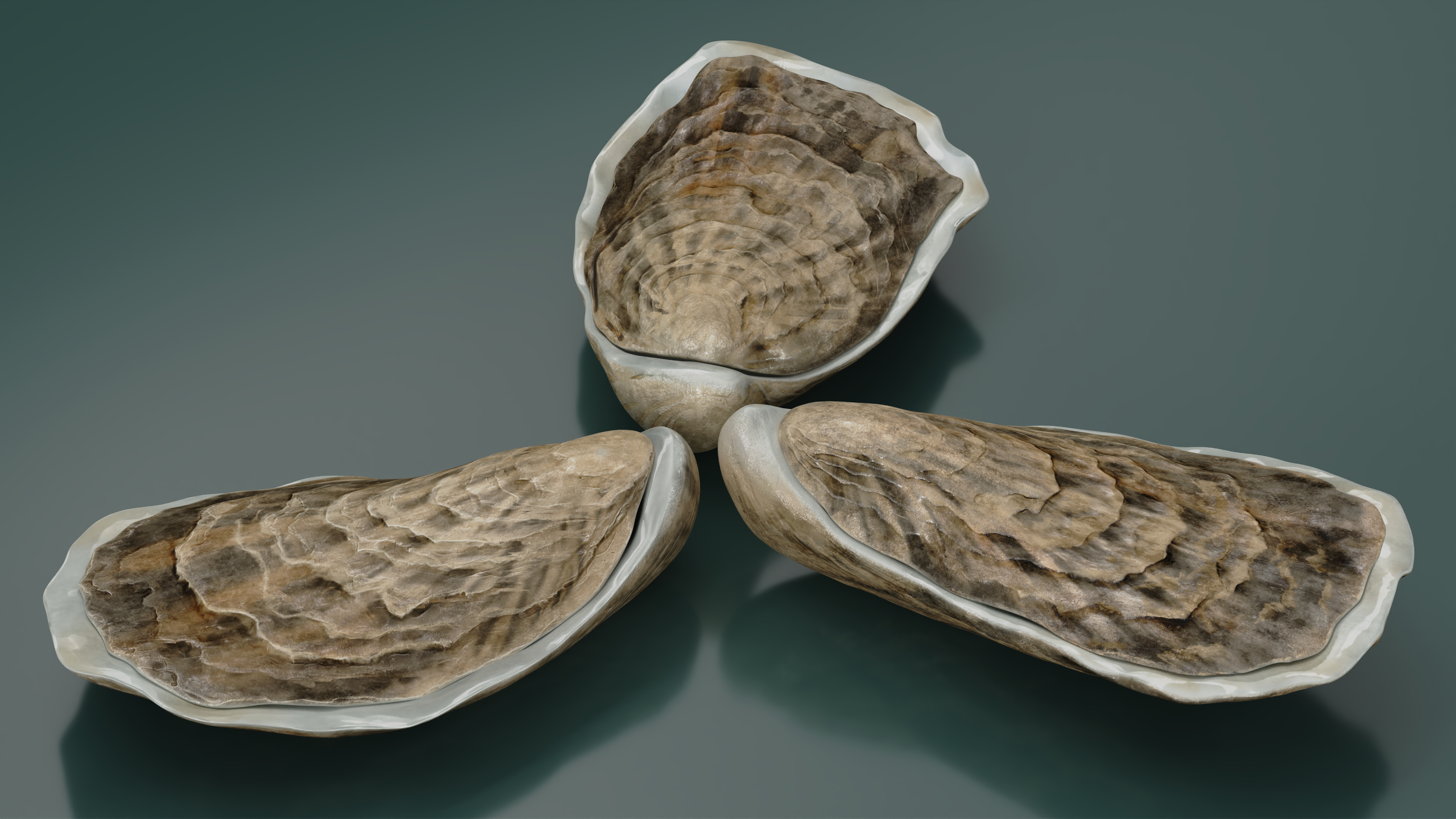 3D model Three Closed Oysters