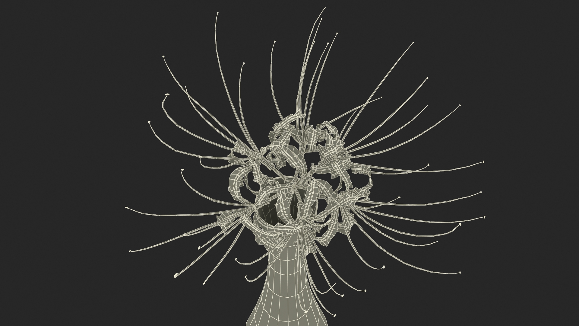 Lycoris Radiata in Glass Vase 3D model