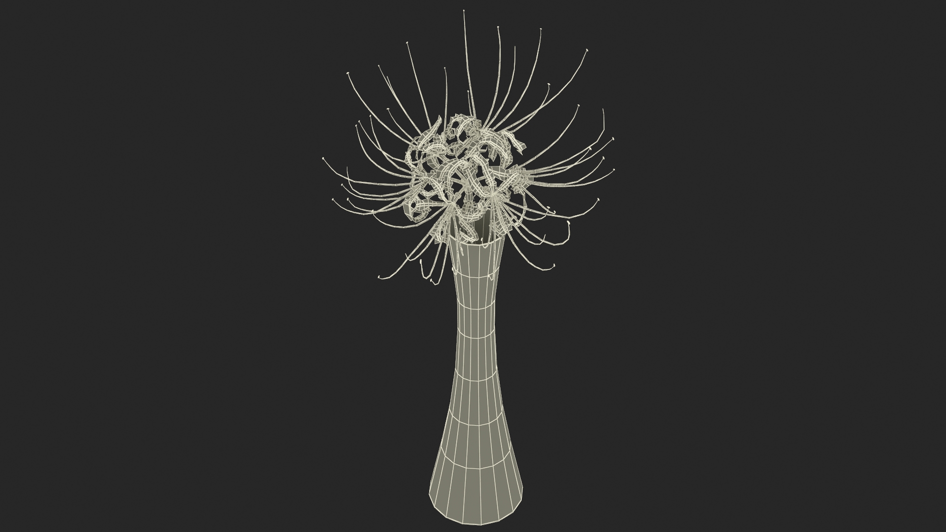 Lycoris Radiata in Glass Vase 3D model