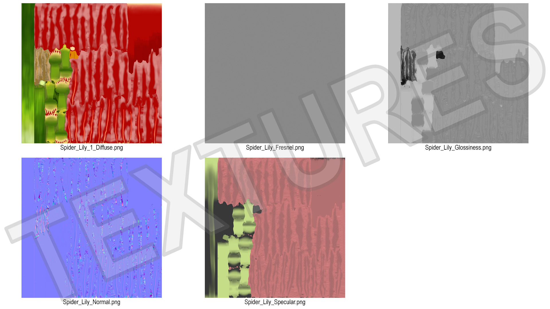 Lycoris Radiata in Glass Vase 3D model