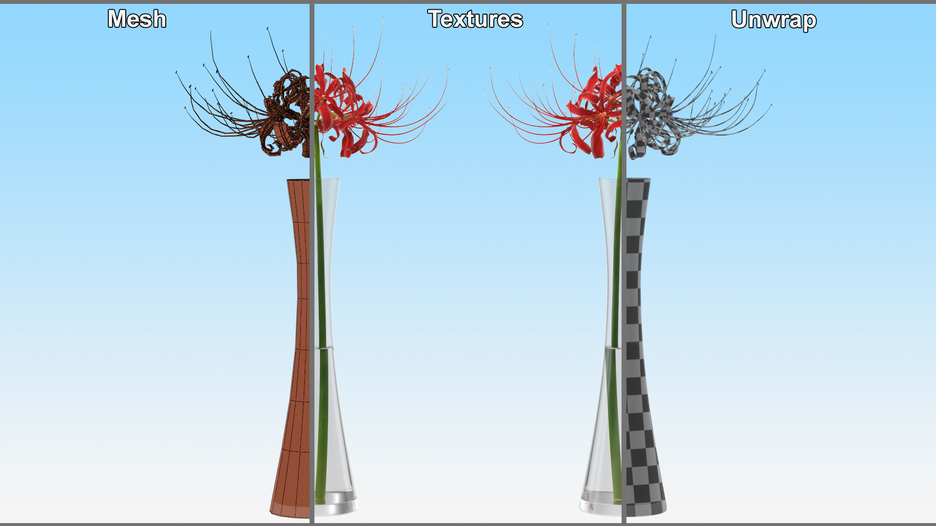 Lycoris Radiata in Glass Vase 3D model